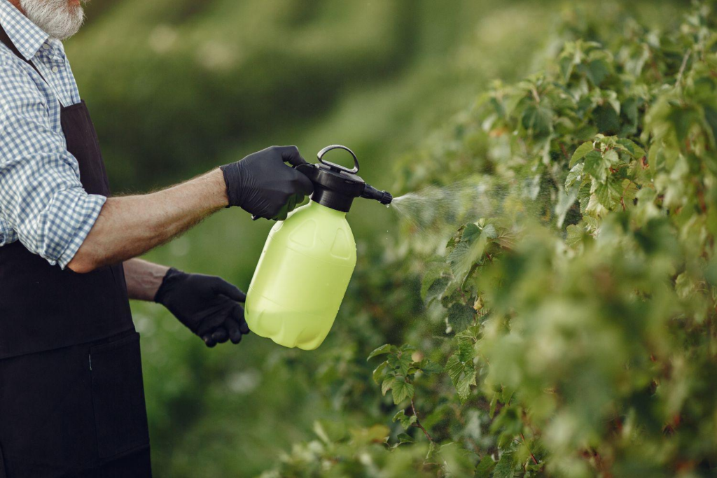 Le desherbant naturel : la solution ecologique pour un jardin sans mauvaises herbes